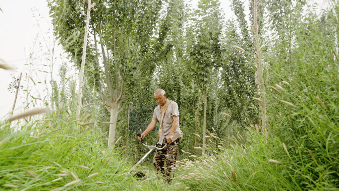 男人用锄草机除草4K