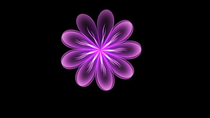 紫色透明花卉