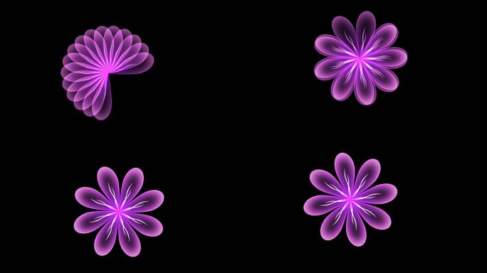 紫色透明花卉