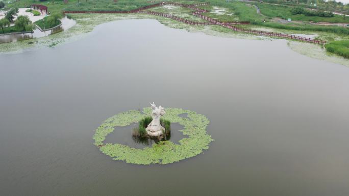 河北衡水市衡水湖风光