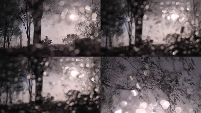 伤心流泪往事不堪回首【意境画面】