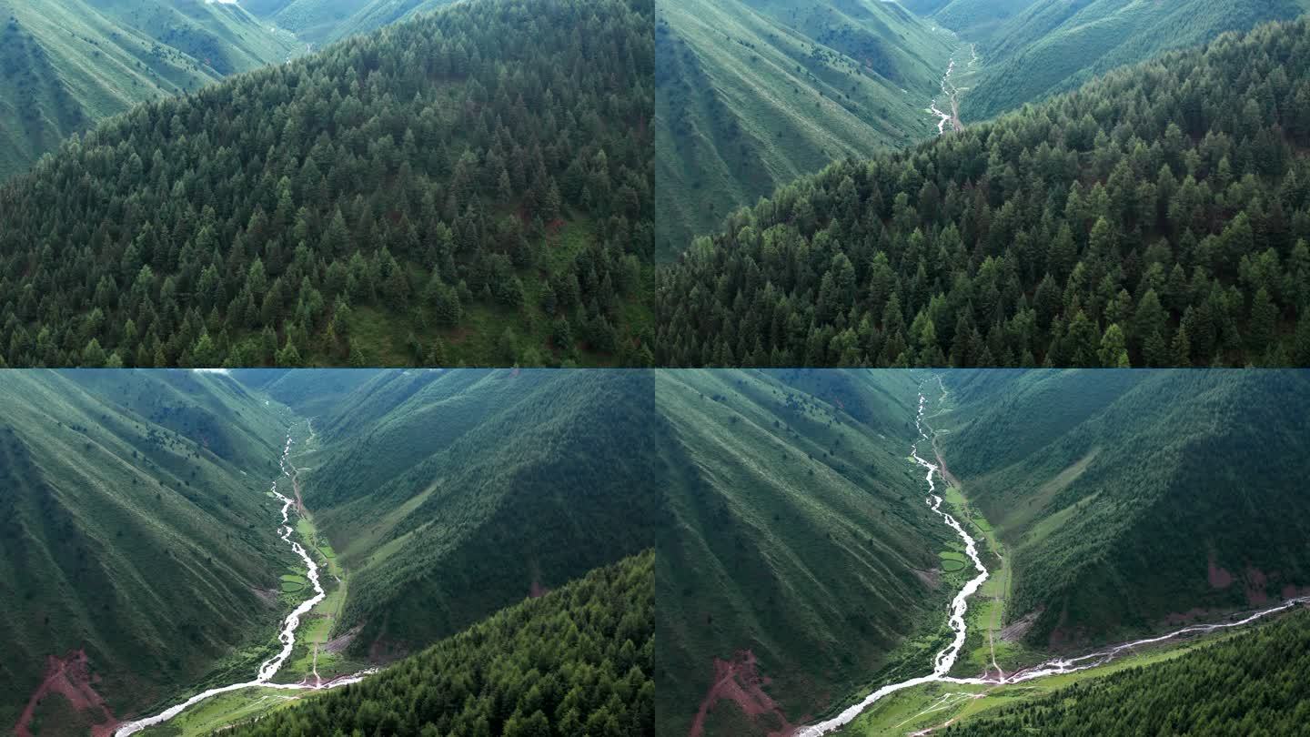 四川省甘孜州川西原始森林航拍