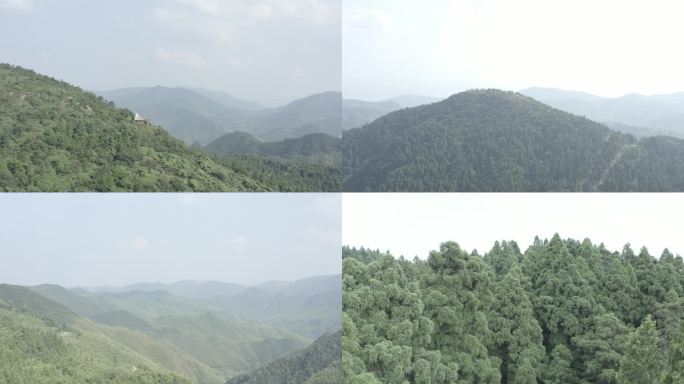 「有版权」航拍天台山华顶森林公园合集4K
