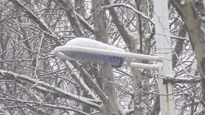 大雪天