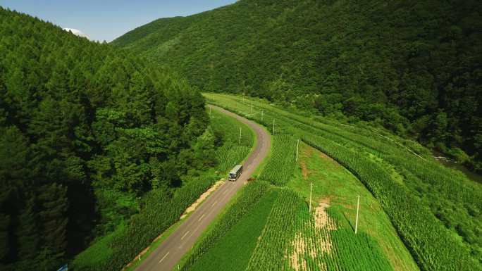 乡村巴士行驶在路上