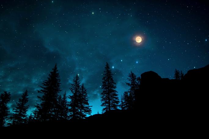 星空夜晚  树林 星空背景