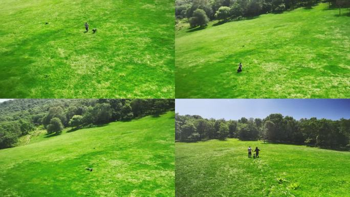 情侣和狗在草坪上玩乐升格