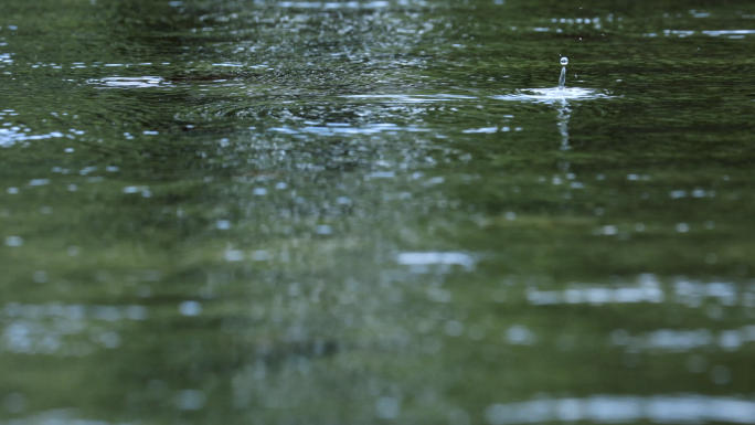 4k节气 立春 谷雨 立夏 下雨蒙蒙细雨