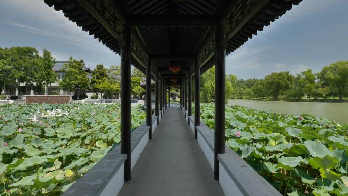 扬州瘦西湖人文自然风景