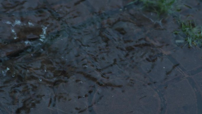 暴雨雨滴地面