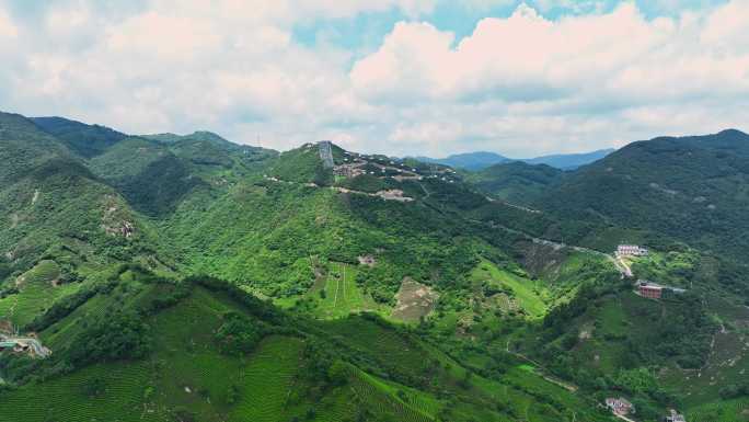 信阳茶山