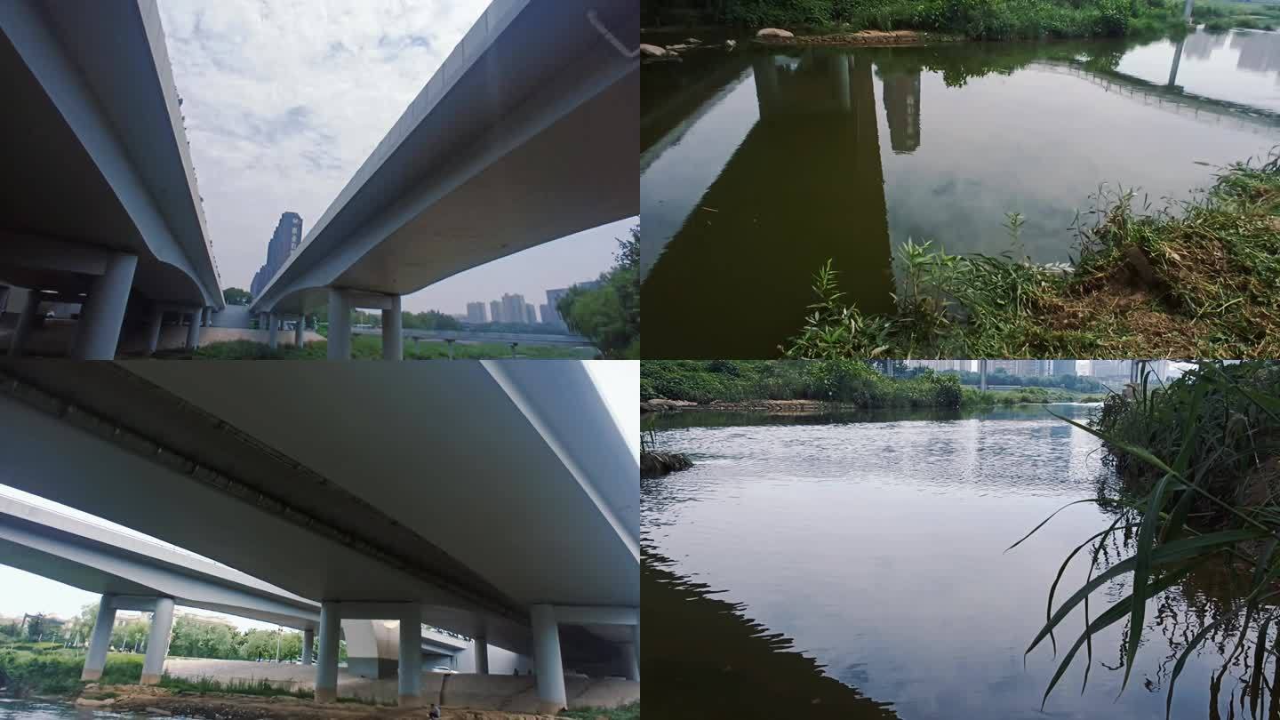 桥 桥梁 湿地 河流 环保