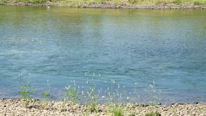 流动的河水山野间的小溪