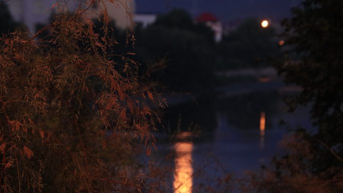 城市夜晚河面上的月光