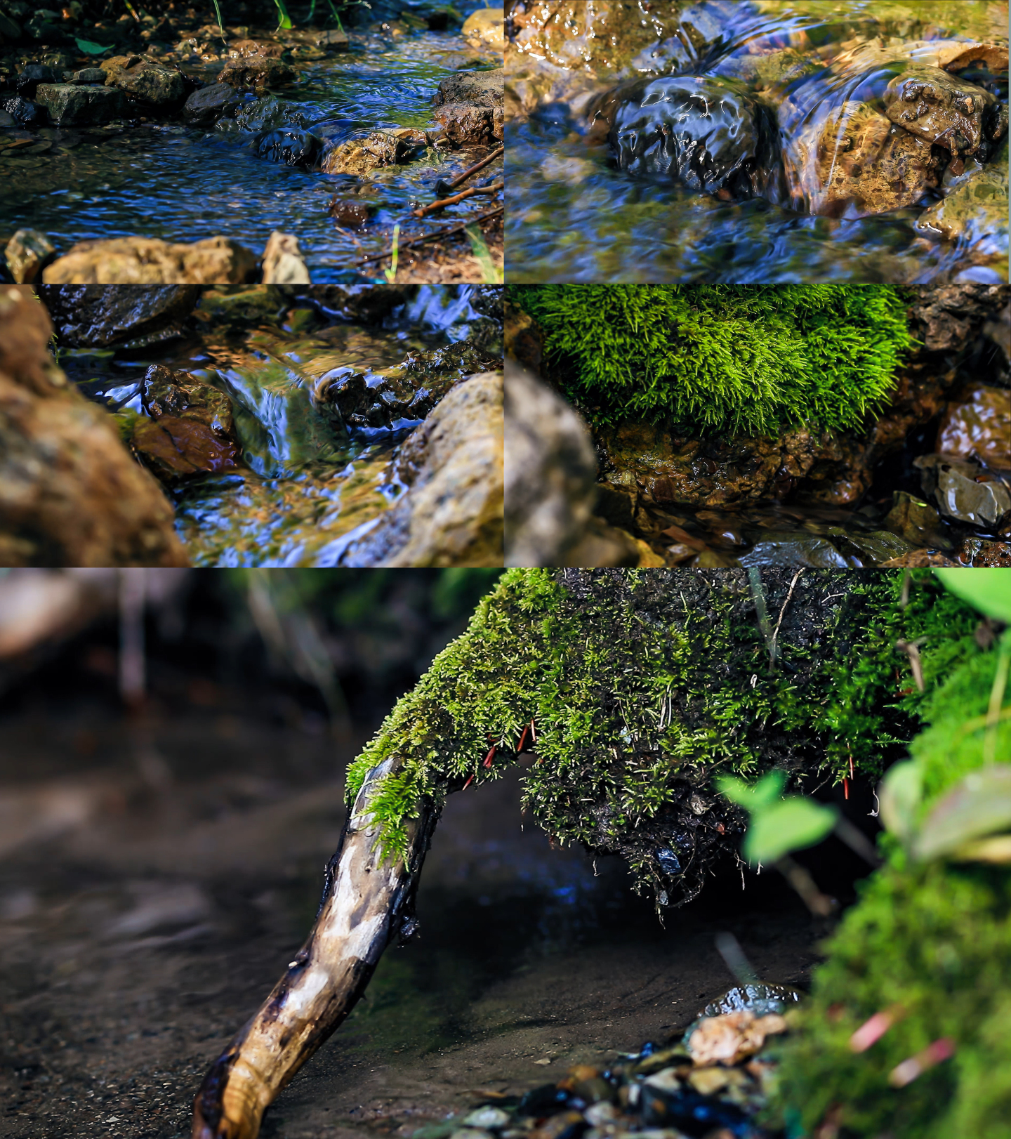 4K自然小溪河流山泉水山河溪流水实拍素材