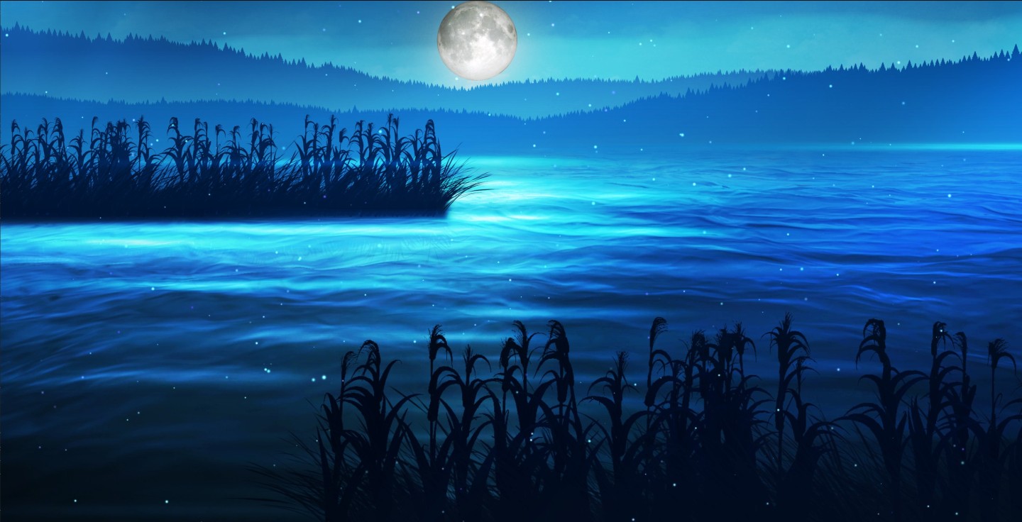 夜晚的湖泊景观
