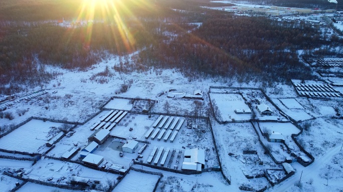 航拍东北极寒中的雪村人家