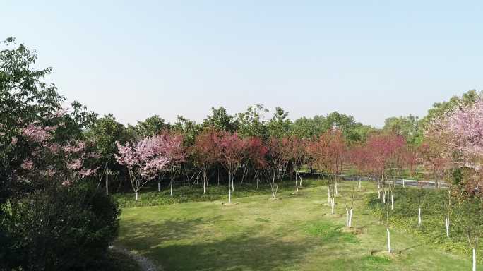 宁波植物园航拍