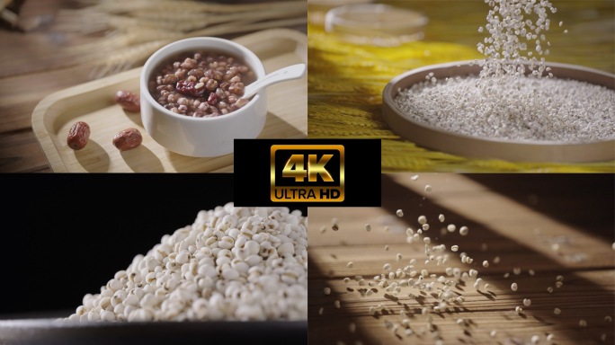 薏米薏米粥4K