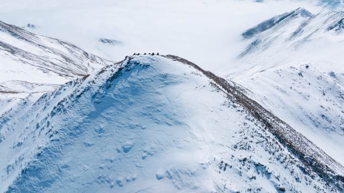 中国四川夹金山雪山航拍风景