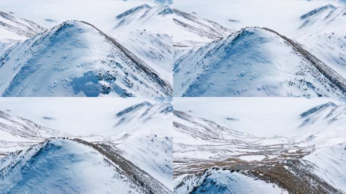 中国四川夹金山雪山航拍风景