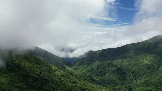 航拍湖北神农架5A景区 (14)