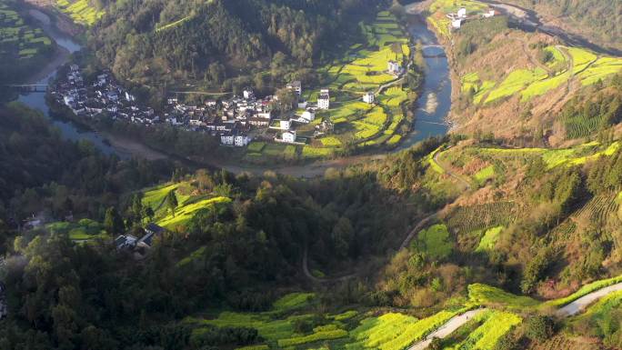 皖南歙县石潭村油菜花海