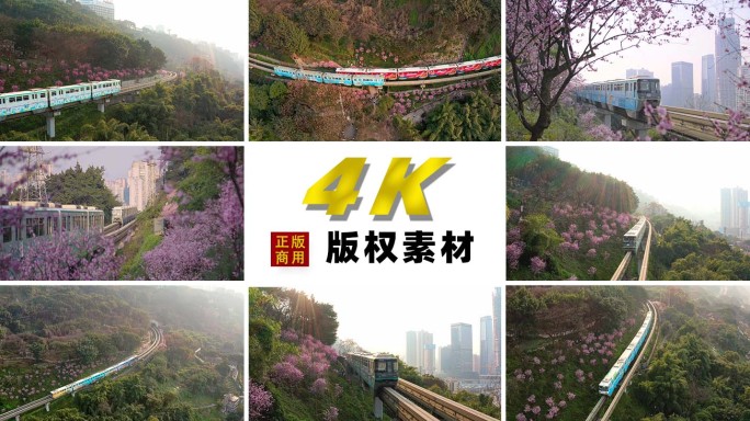 【4K】重庆开往春天的列车