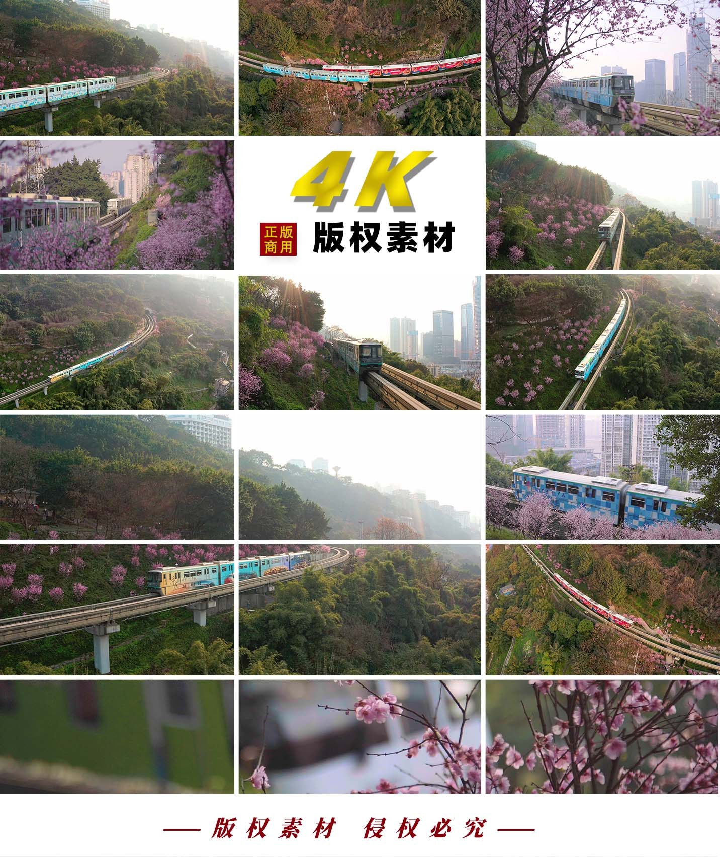 【4K】重庆开往春天的列车