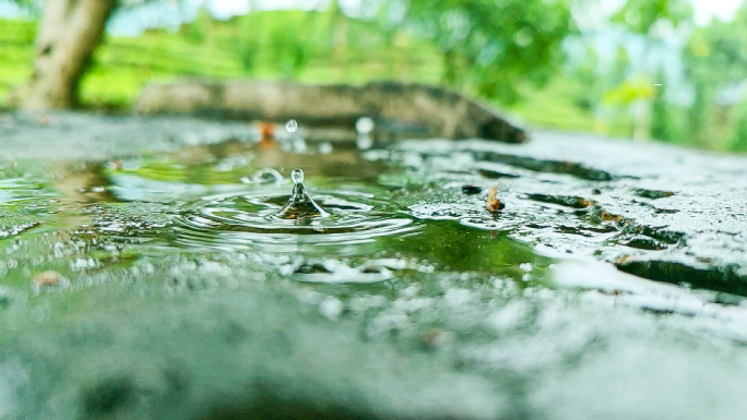 下雨水滴雨滴绿叶自然春雨意境升格