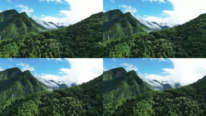 航拍祖国大好河山湖北神农架绿色植物森林