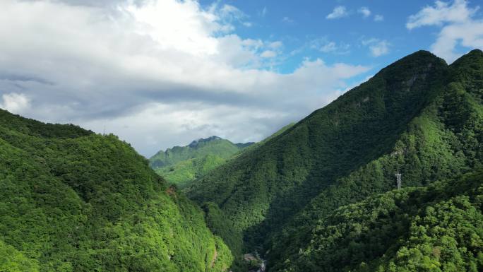 航拍祖国大好河山湖北神农架绿色植物森林