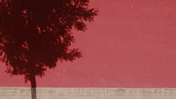 象征温馨和平的意境画面——鸽子与红墙