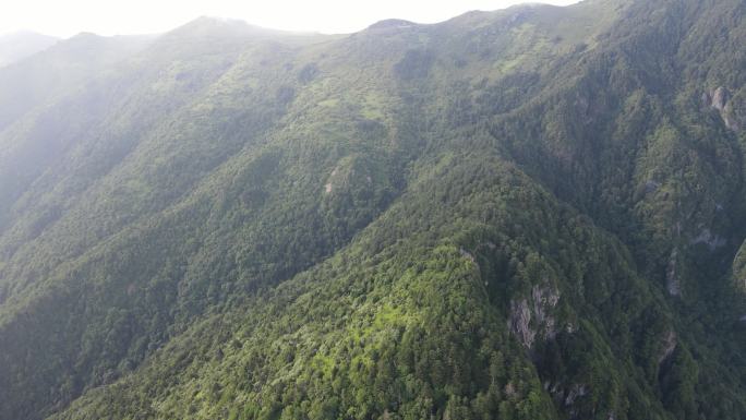 航拍湖北神农架5A景区 (15)