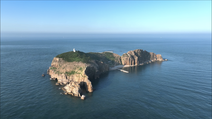 【4K】野驴岛海鸥