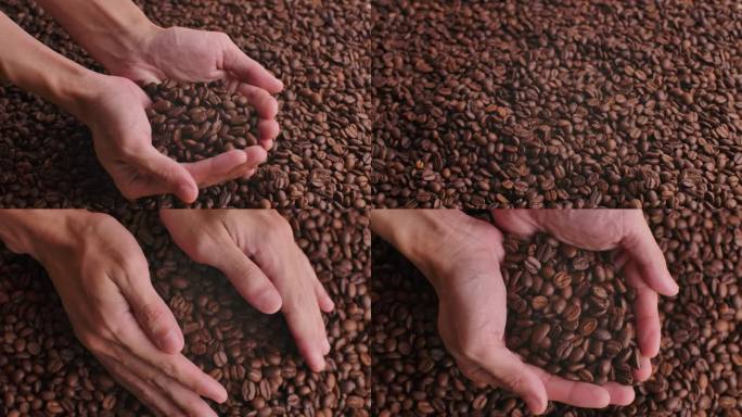 双手捧咖啡豆挑选咖啡豆慢动作烘焙升格广告