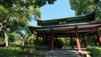 广西柳州柳侯祠公园中式庭院视频素材