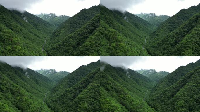 航拍祖国大好河山湖北神农架绿色植物森林