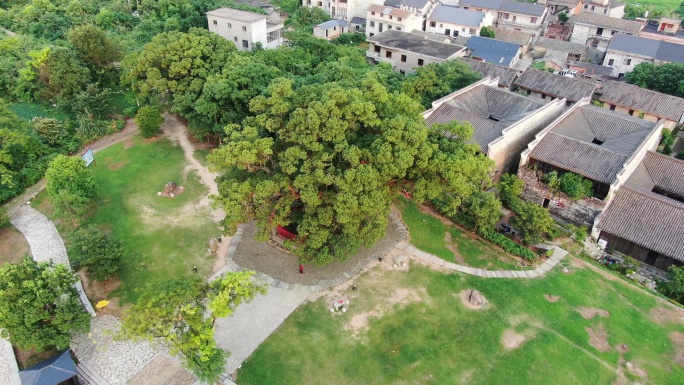 南昌 安义古村群 老房子 赣派建筑区景区