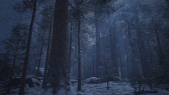 4k寒冬暮光森林穿梭②_雪地森林穿梭视频素材