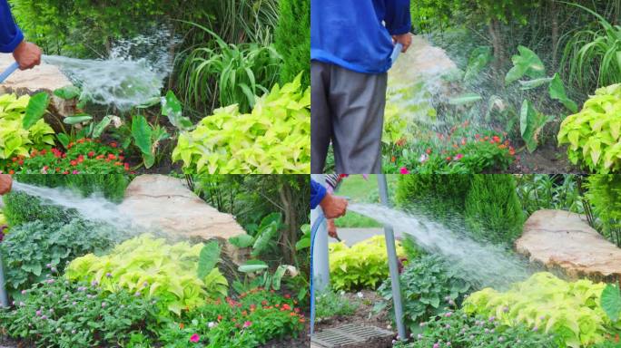 4K升格实拍公园工人洒水灌溉花草洒水