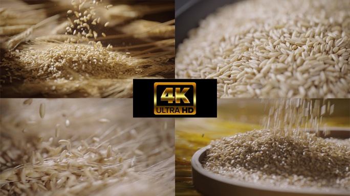 生燕麦4K