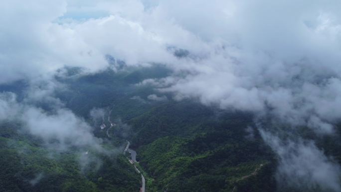 [4K]航拍素材.北京妙峰山云海之一