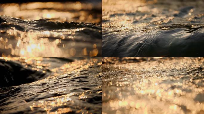 金色 水 流体 液体