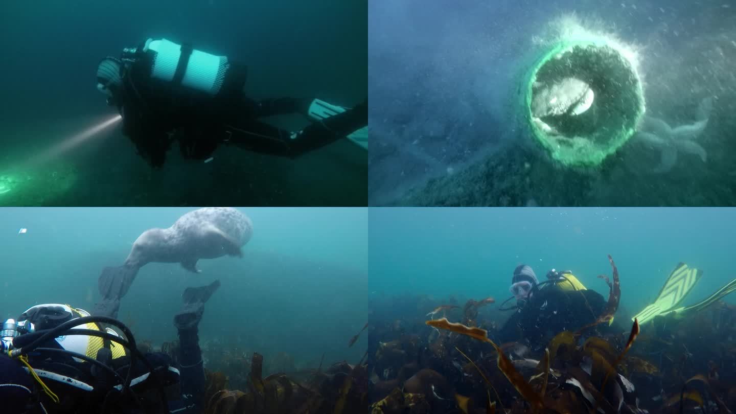 英国苏格兰东海岸福斯湾水域潜水运动