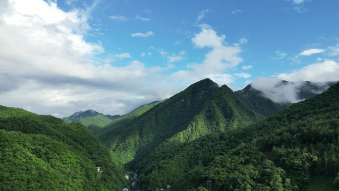 航拍祖国大好河山湖北神农架绿色植物森林