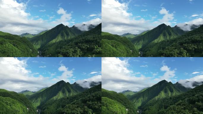 航拍祖国大好河山湖北神农架绿色植物森林