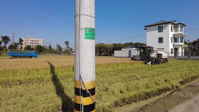 4K高清水稻机器农作物农场收割