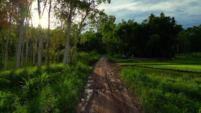 泥泞小路泥巴小路乡间小道