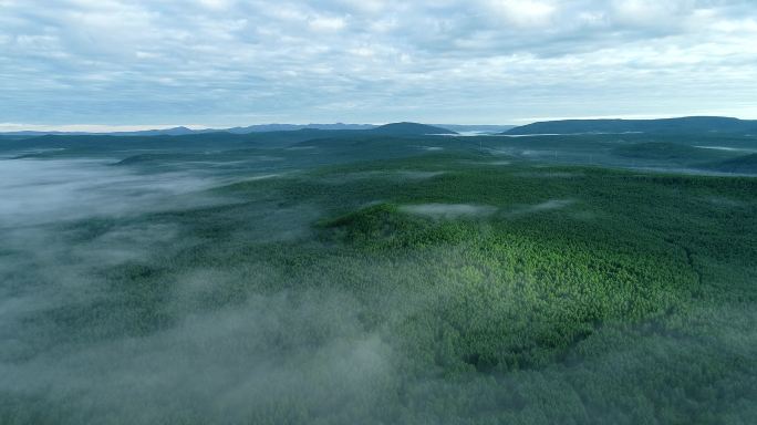 航拍大兴安岭原始森林云雾
